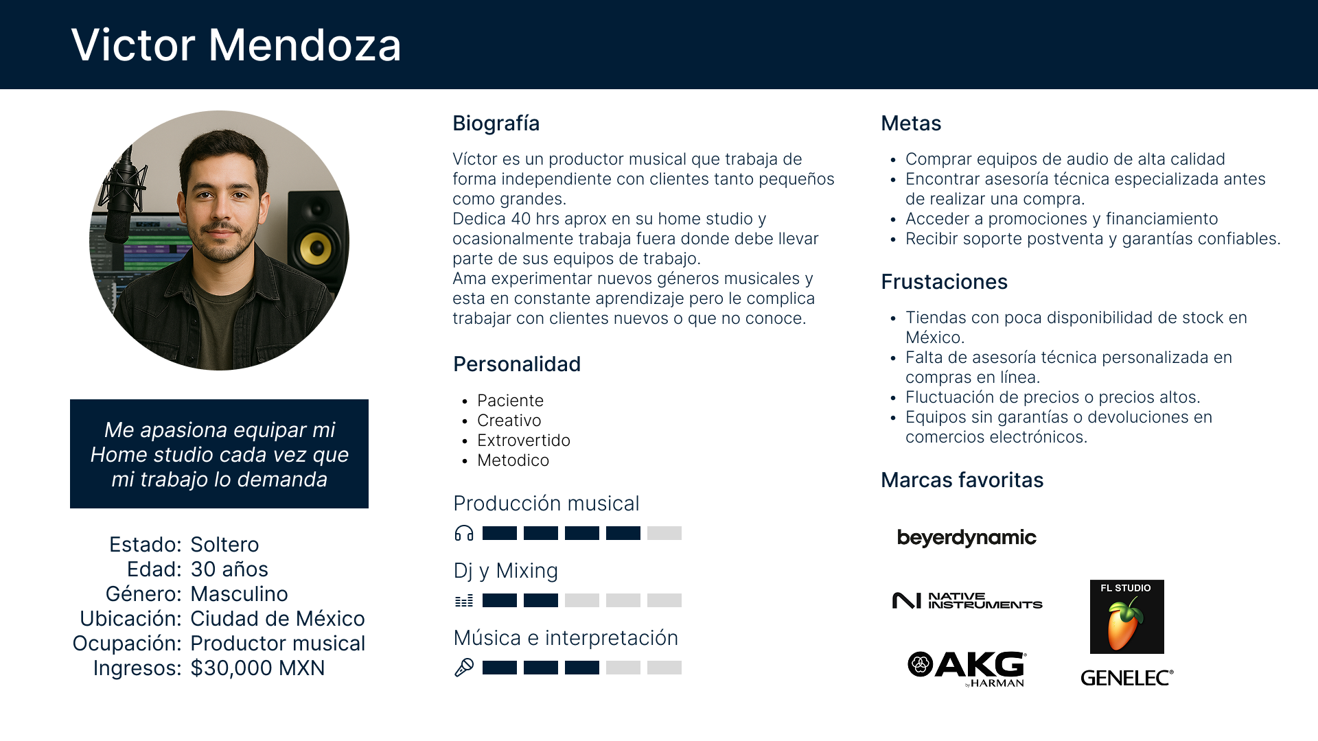 Infografia de User Persona